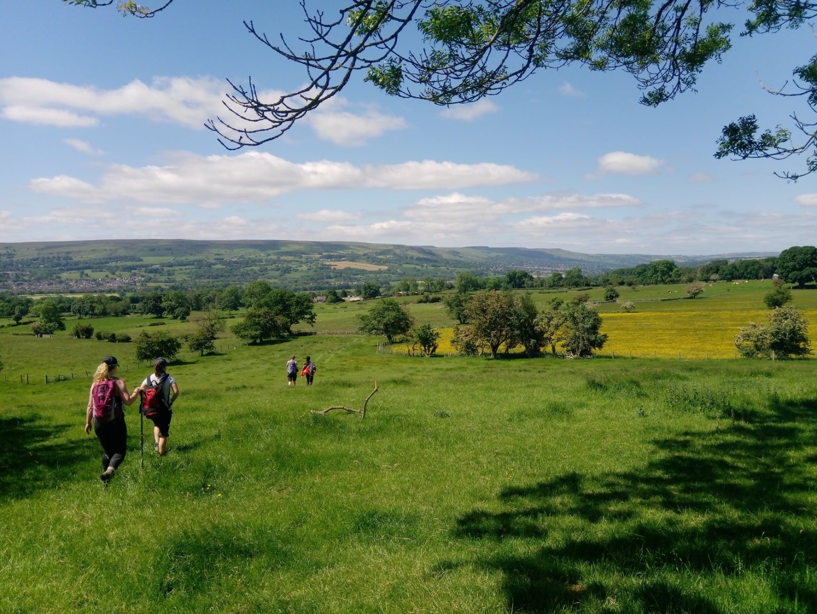 Otley