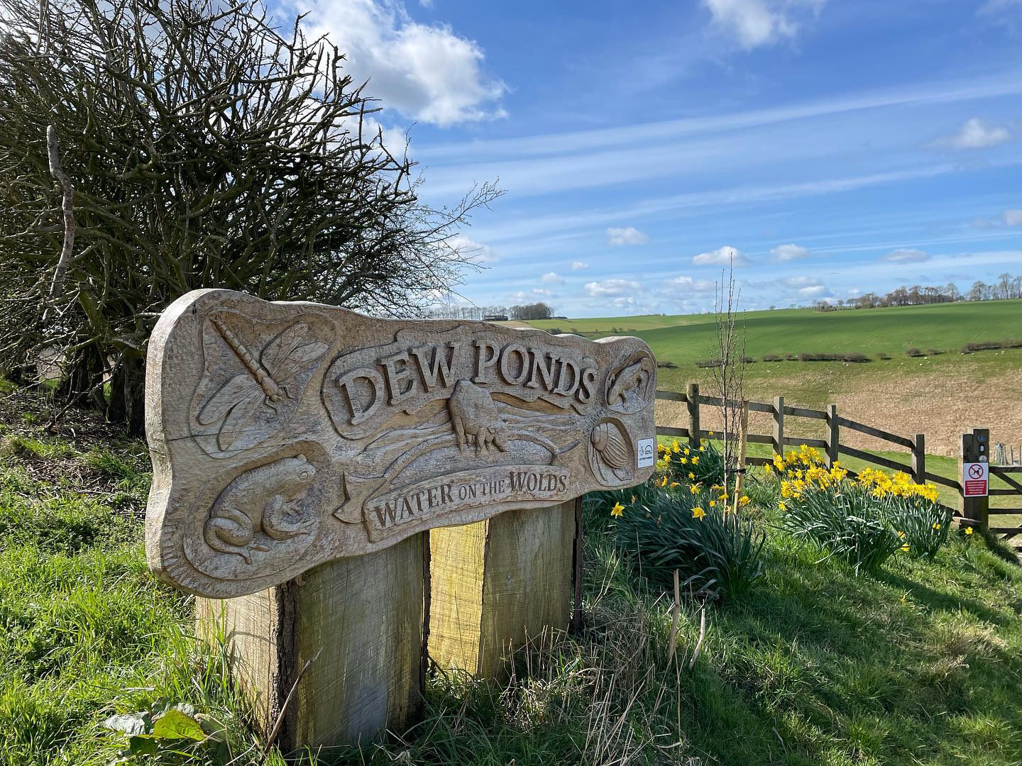 Stone Dale