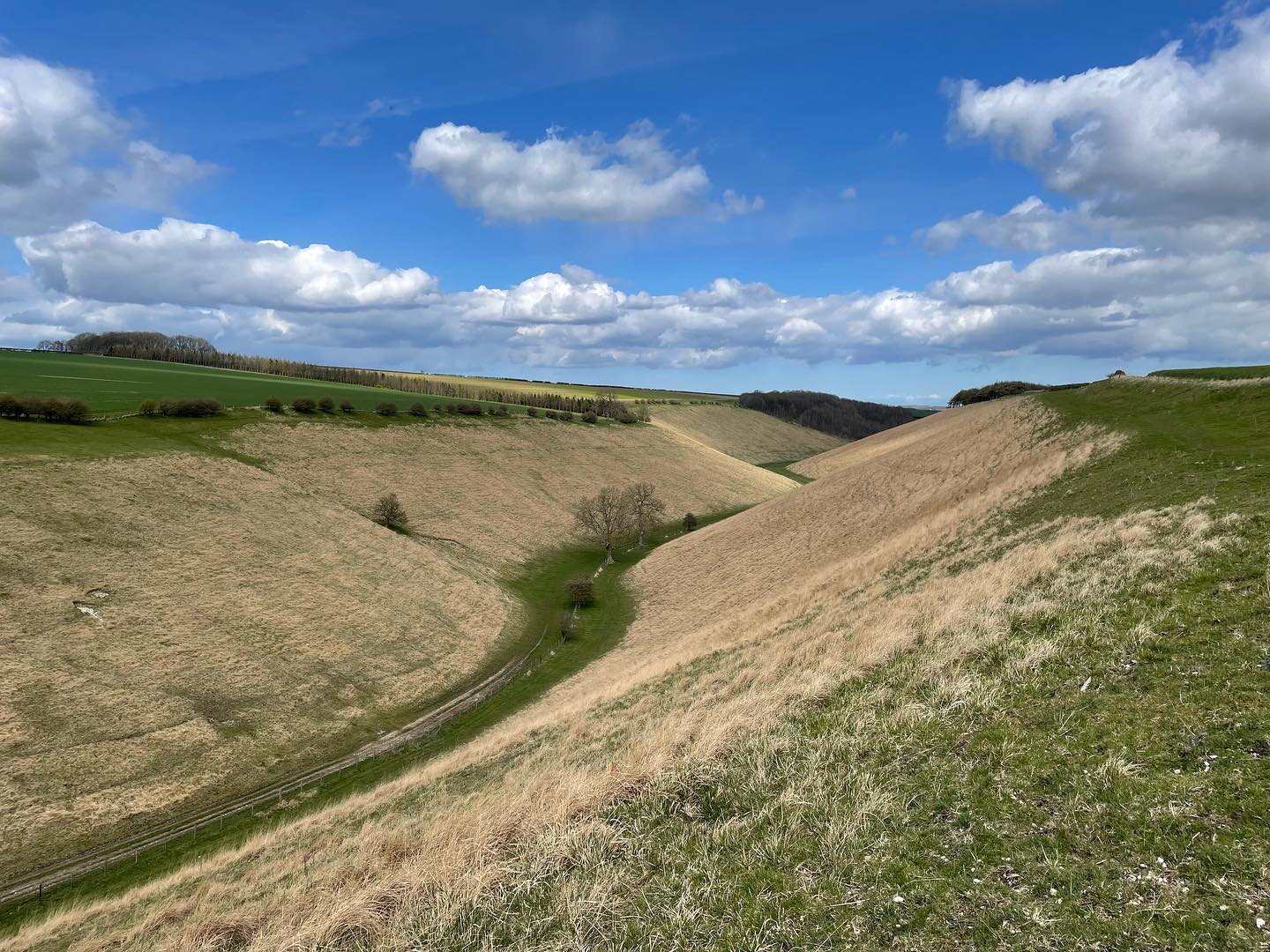 Stone Dale
